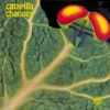 Catapilla Changes Orig. UK Svirl Vertigo Vinyl Album